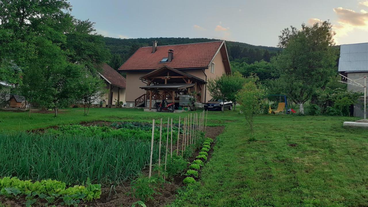 Izvor Ogulin