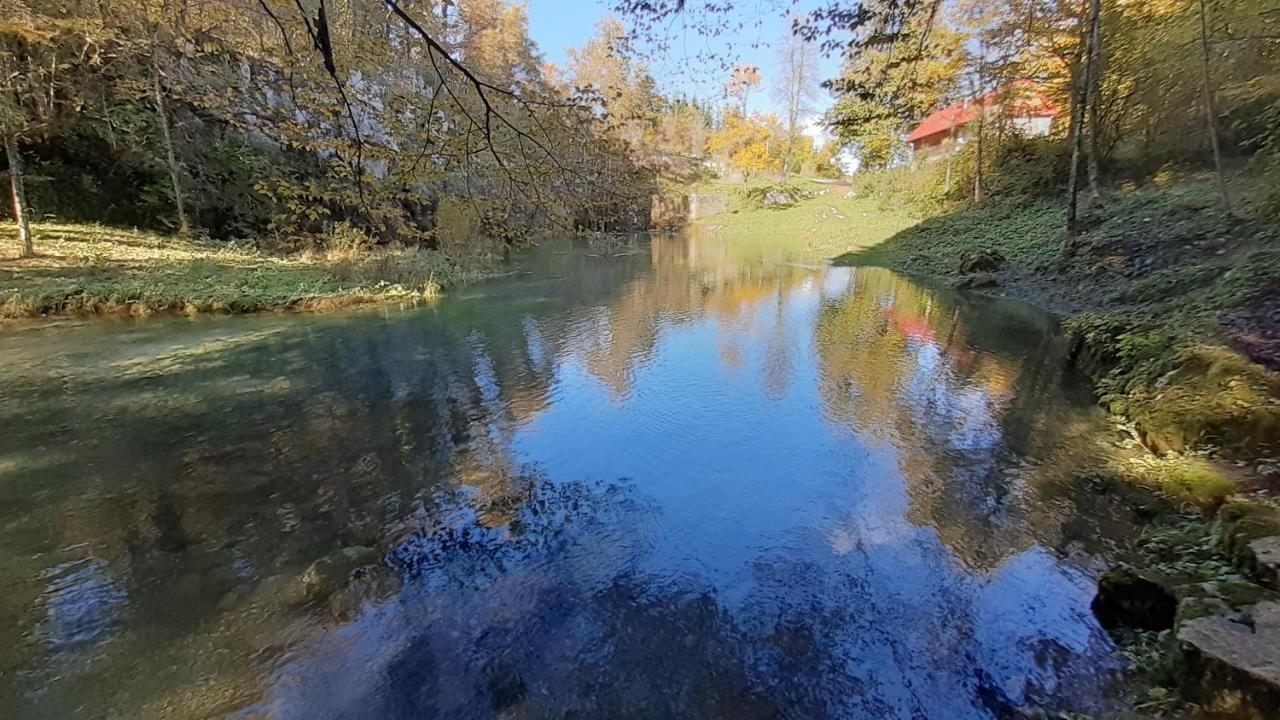 Apartment Izvor *