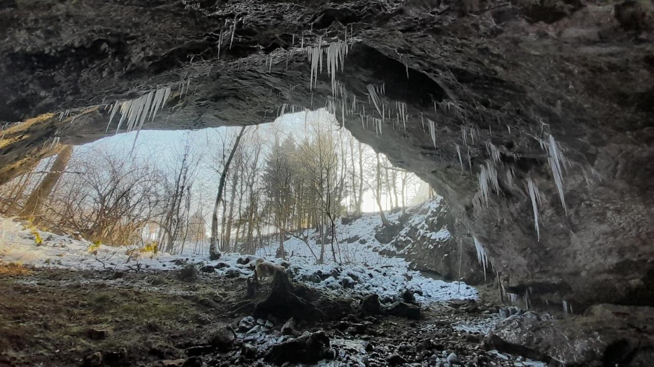 Izvor